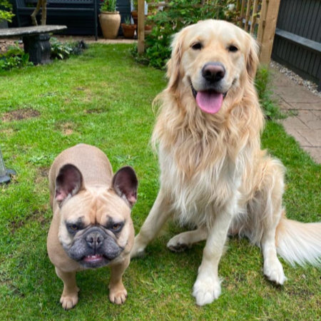 Profile placeholder image